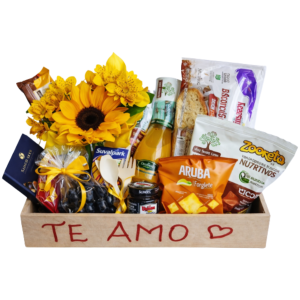 Bandeja versões