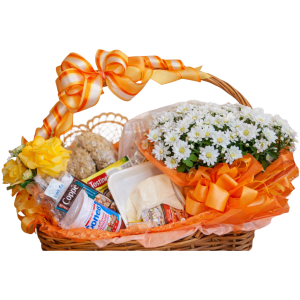 Cesta diet