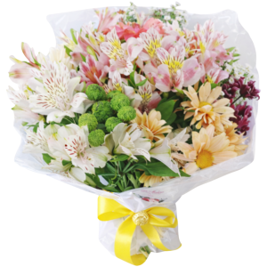 Bouquet de astromélias