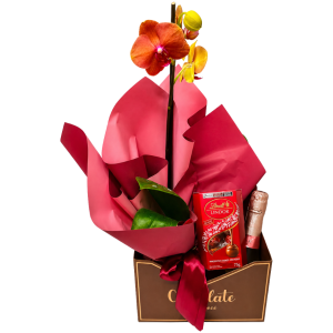 Orquídea com chocolate e cava freixenet