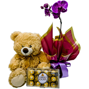 Urso com Orquídea e Chocolate
