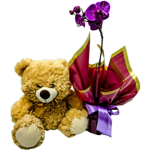 Urso com Orquídea